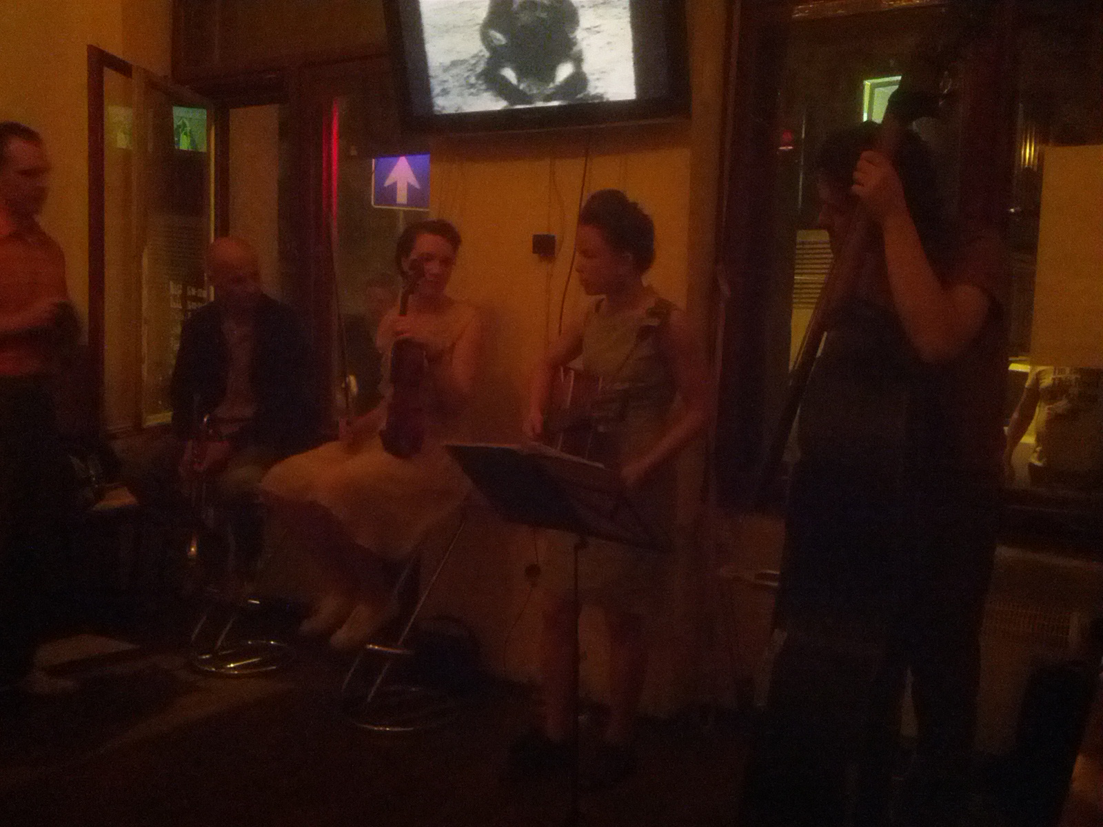 Lindy Hopping! Live music with fiddlin', guitar, and double bass.