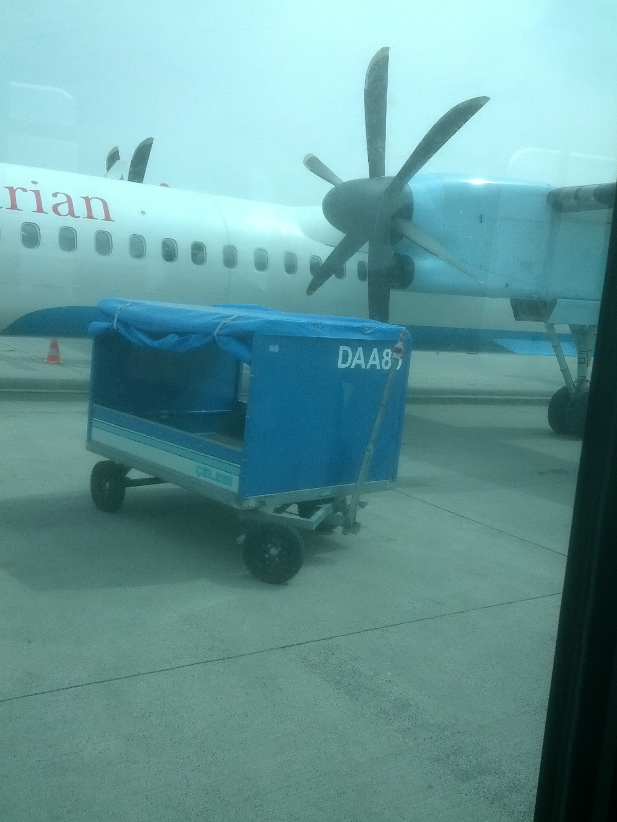 PROPELLER PLANE! It makes a nice noise compared to the jet turbines. Also looks a lot more scary but I know that's just psychological. Birds get sucked into propellers or jet engines at roughly the same rate.