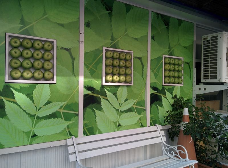 An apple store, selling very polished consumable products that have to be purchased regularly to keep up with the latest model of Apple