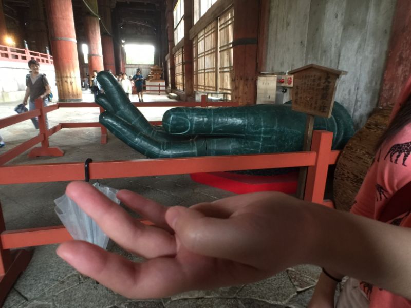 Buddha Hand