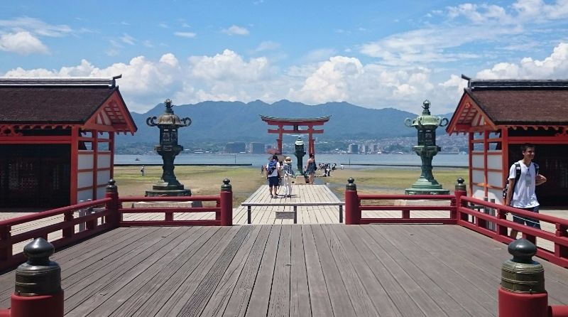 torii gates from shrine during low tide