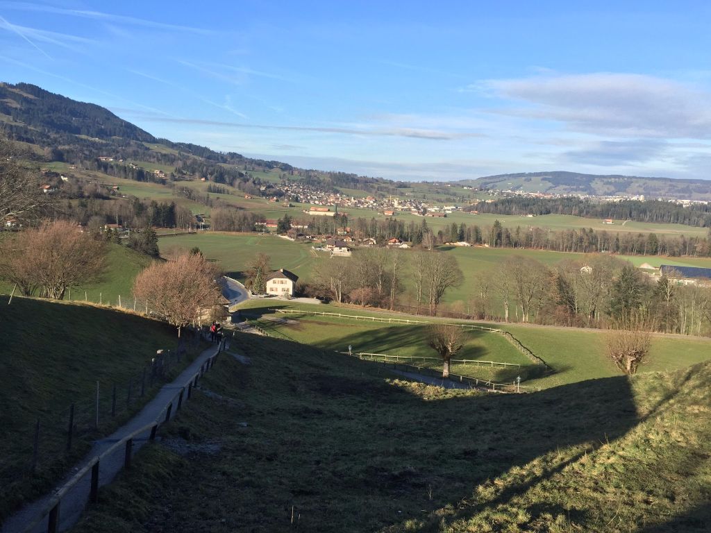 Gruyere scenery train 2