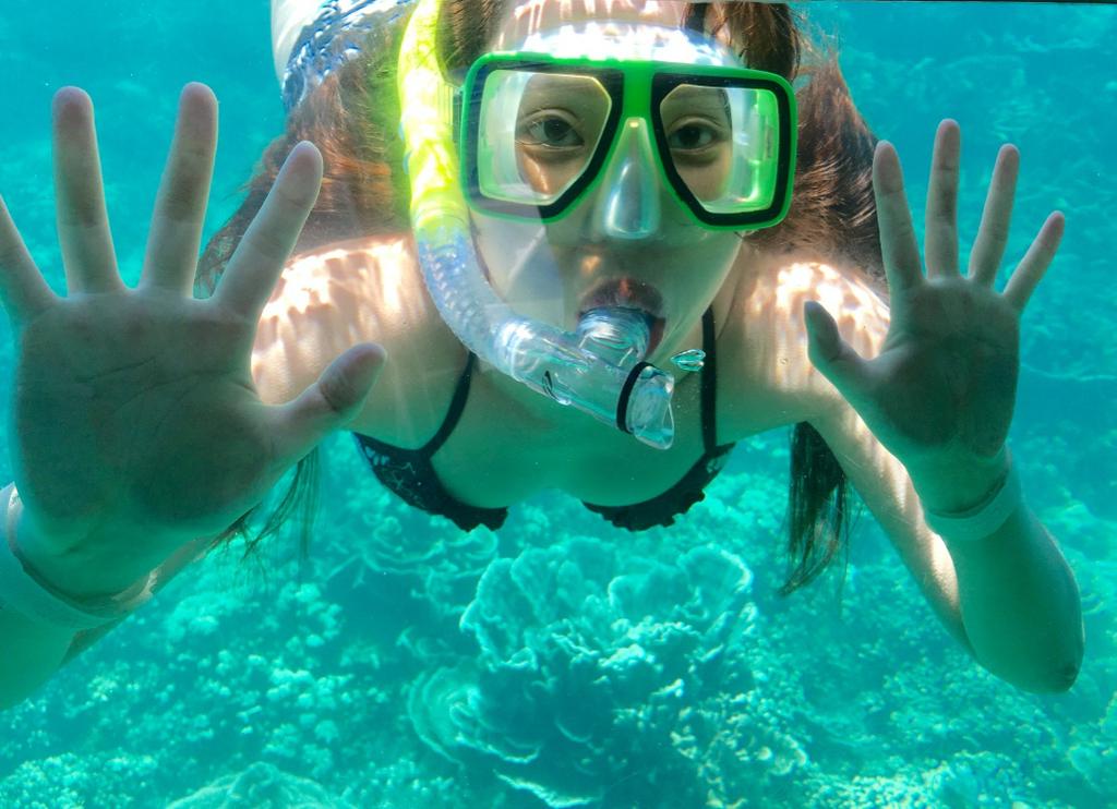snorkel4