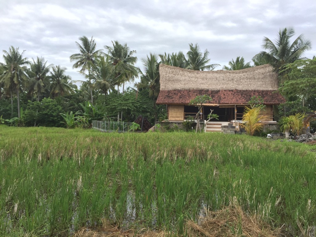 Walking to sweet orange